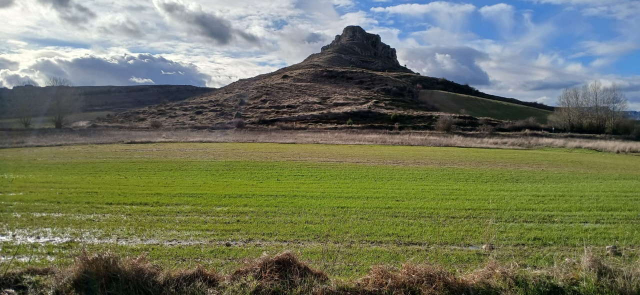 WhatsApp Image 2026-02-10 at 11.24.08 (1)